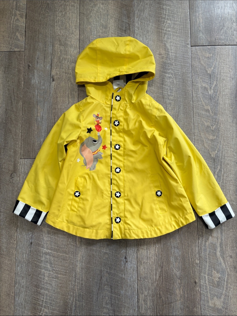 Disney Dumbo Circus Kids Raincoat